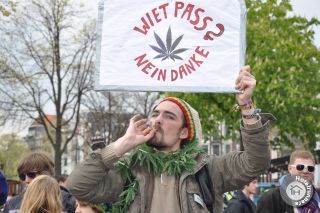 No weed pass